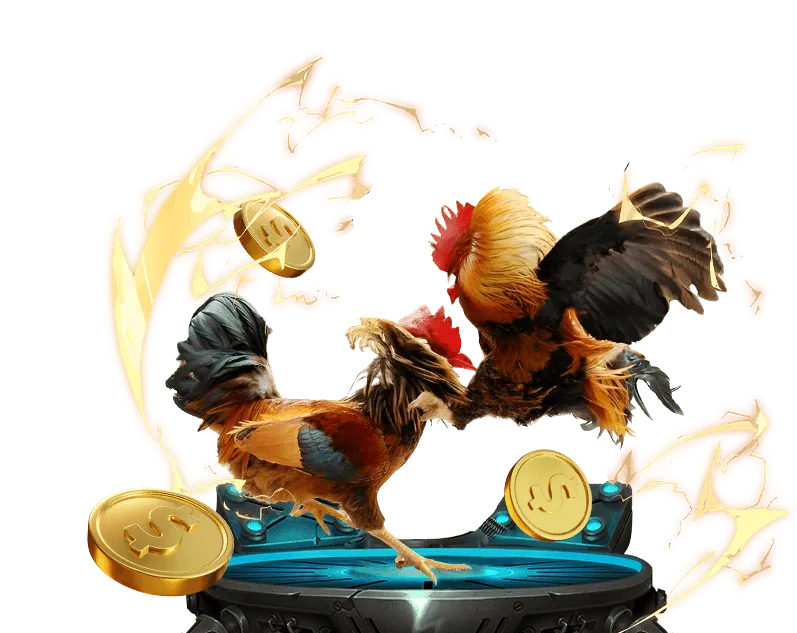 Chiến lược cá cược cơ bản cho người mới bắt đầu tại s666